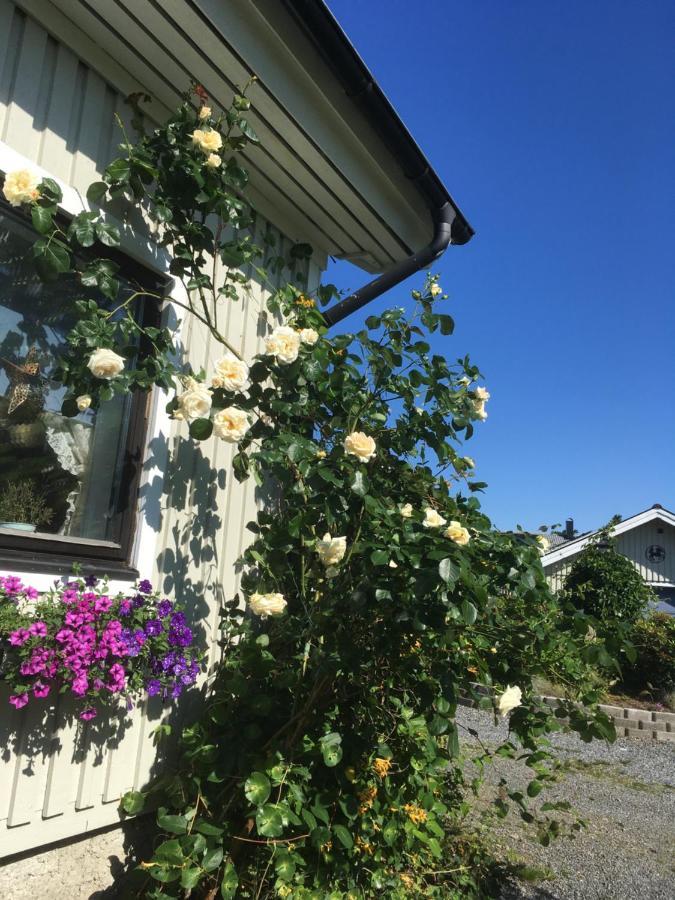 Airbnbekasberg Olofstorp Екстер'єр фото