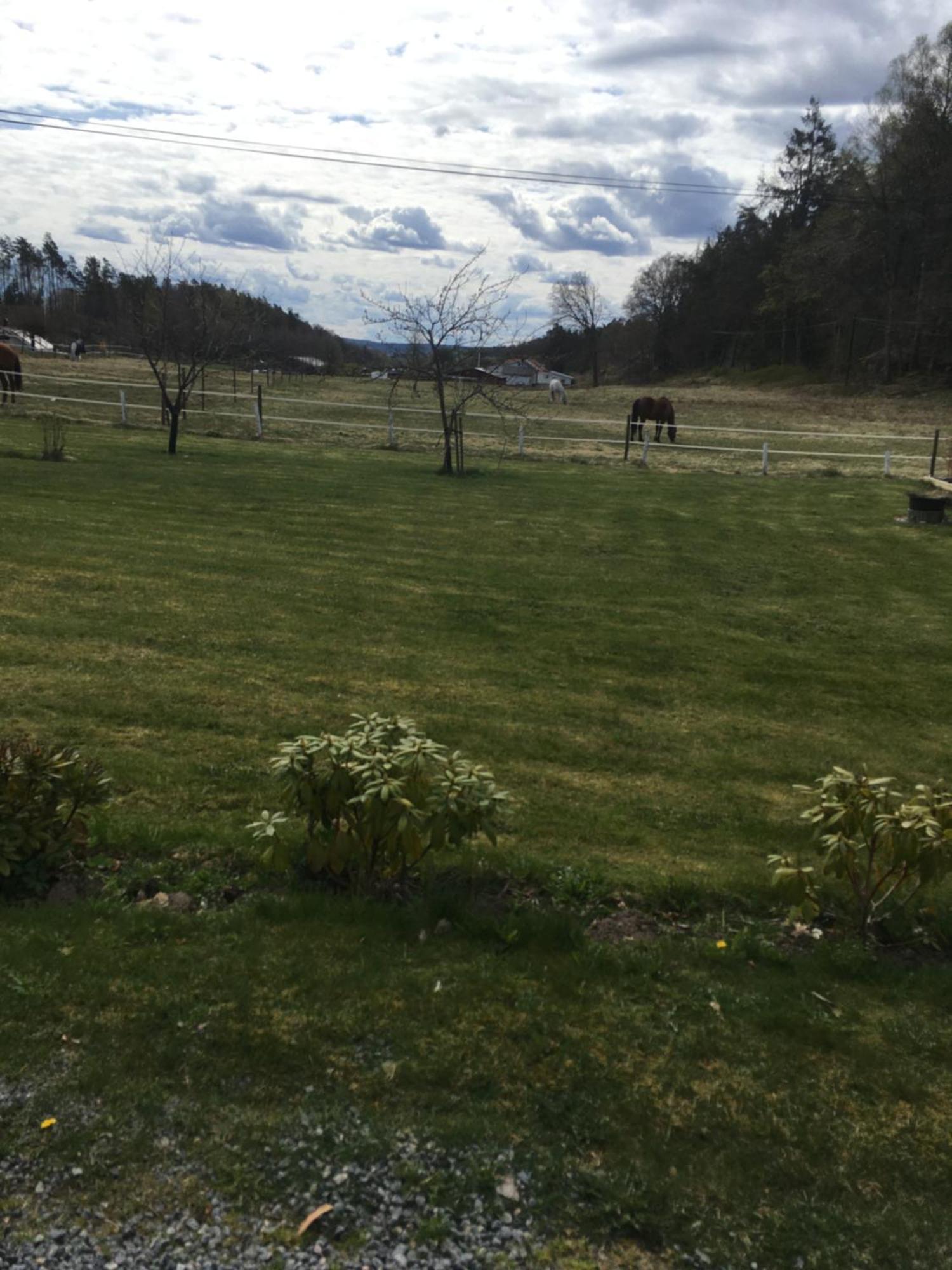 Airbnbekasberg Olofstorp Екстер'єр фото