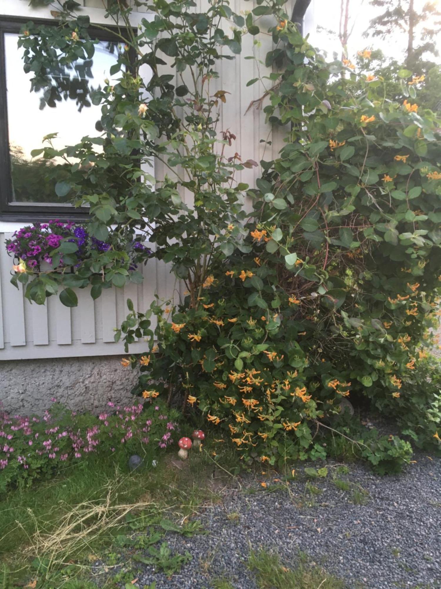 Airbnbekasberg Olofstorp Екстер'єр фото