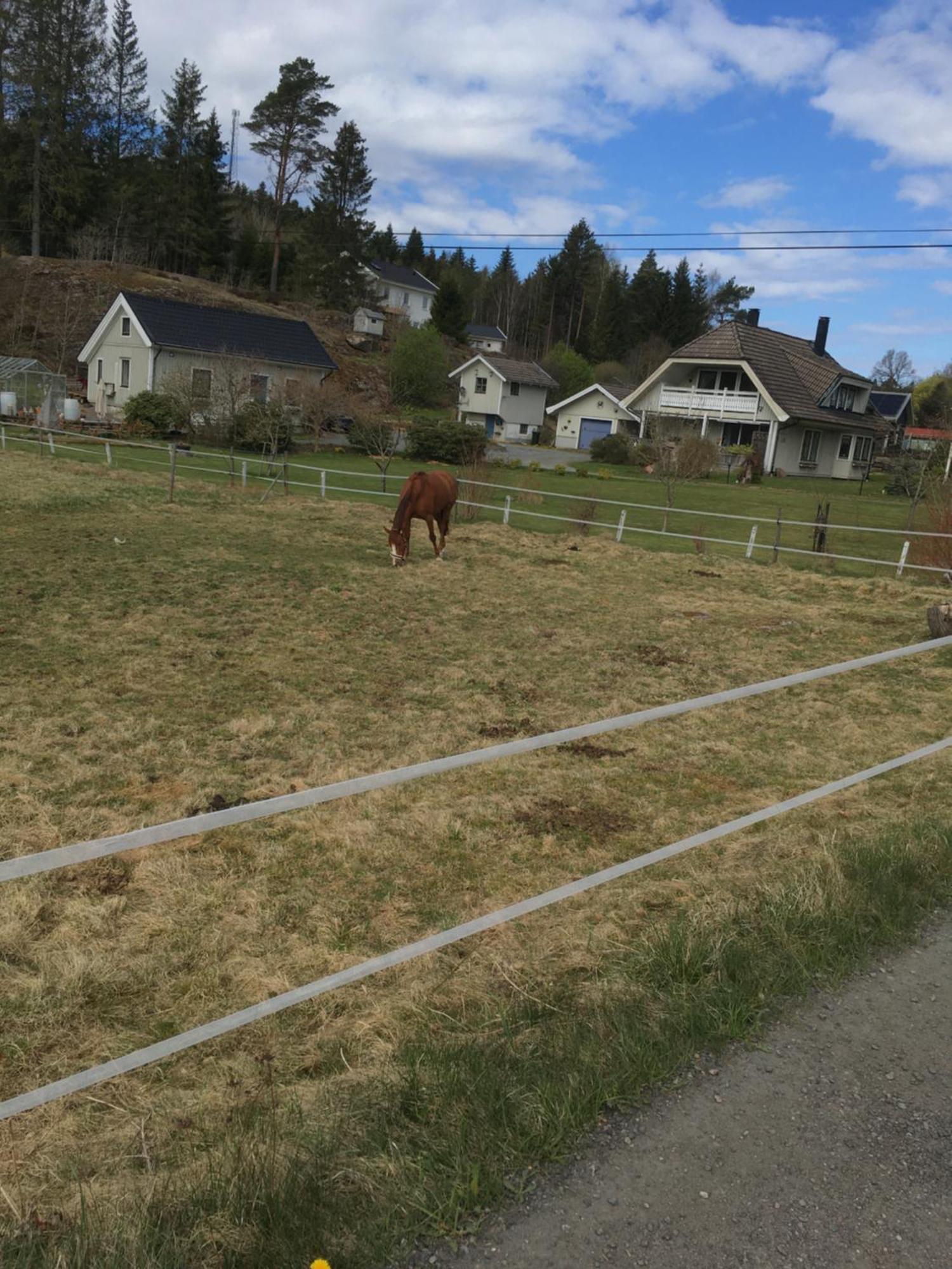 Airbnbekasberg Olofstorp Екстер'єр фото