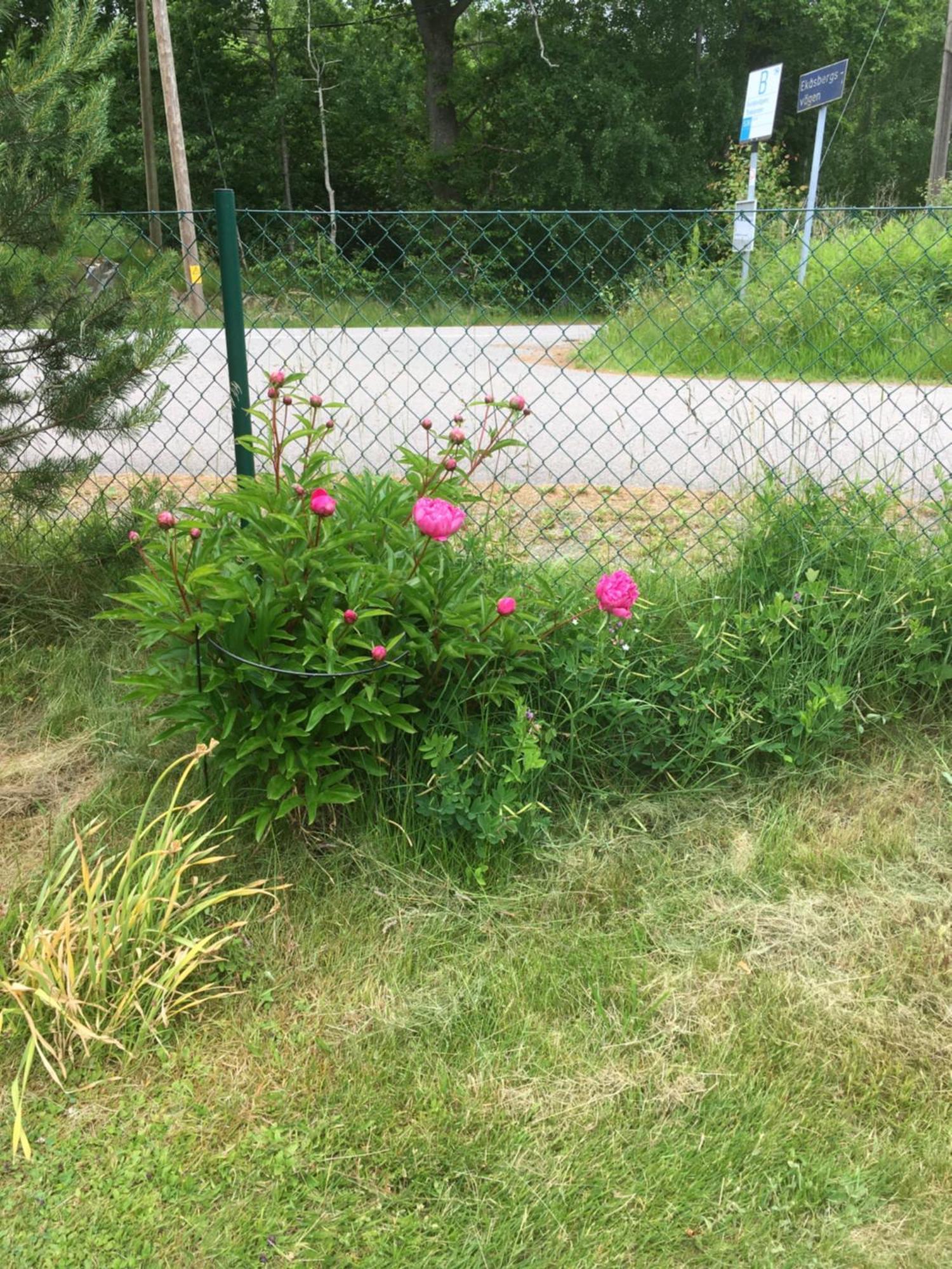 Airbnbekasberg Olofstorp Екстер'єр фото