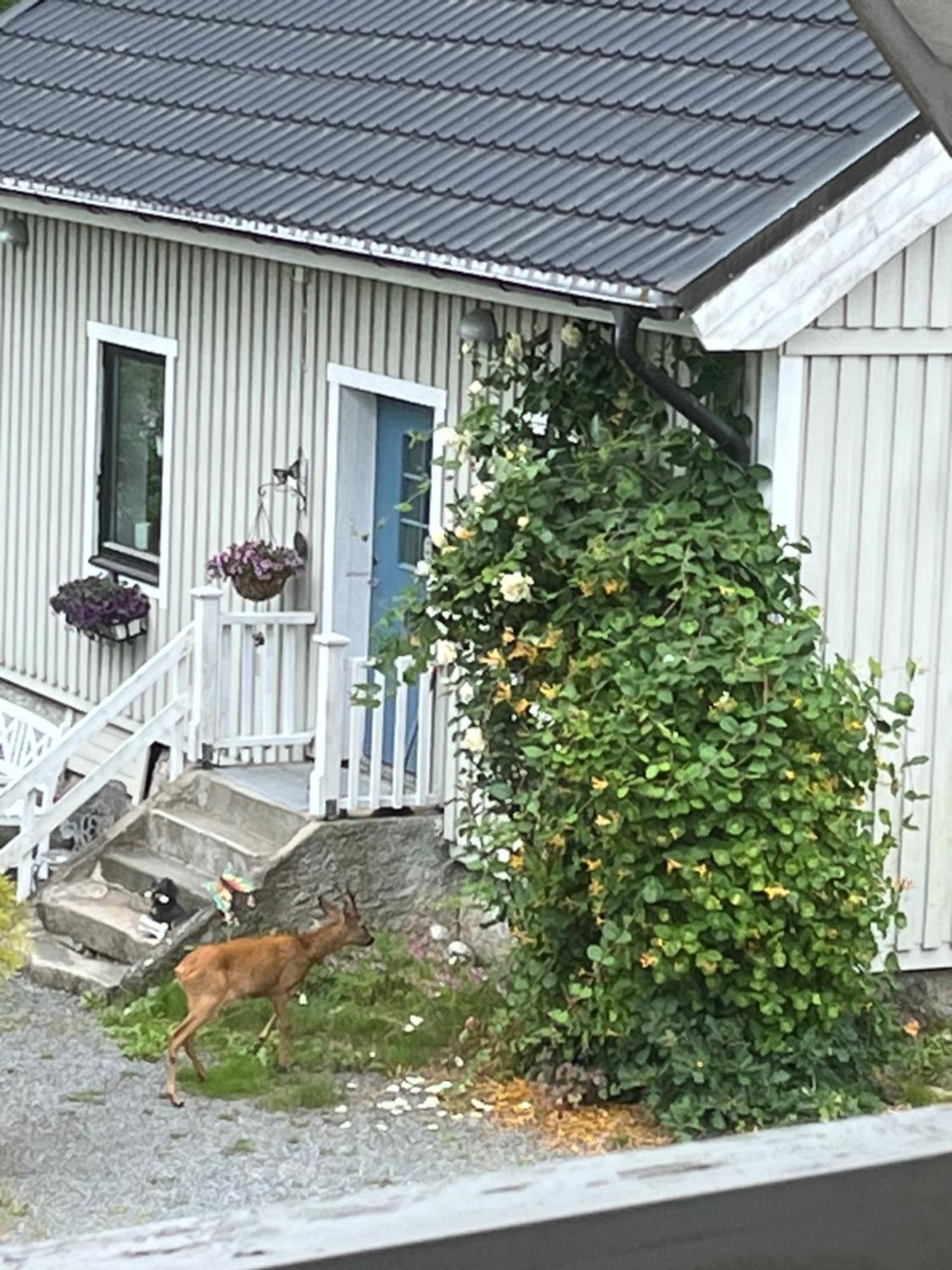 Airbnbekasberg Olofstorp Екстер'єр фото
